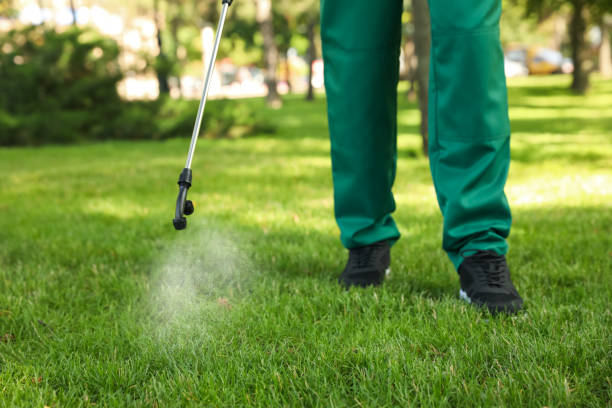 Best Affordable Pest Control Services  in Oliver, PA