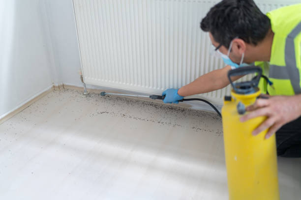 Pest Control Cost in Oliver, PA